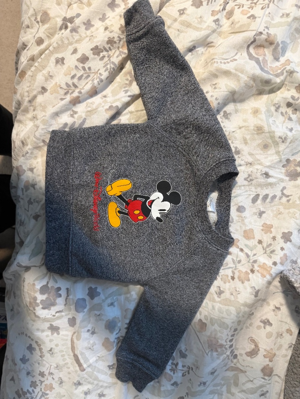 Mickey Mouse Sweatshirt